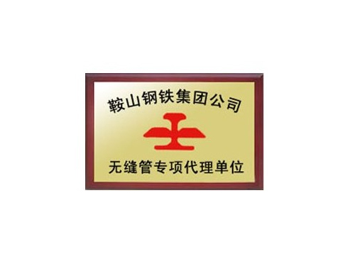 鞍山钢铁集团公司